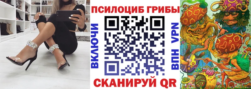 Псилоцибиновые грибы Psilocybine cubensis  KRAKEN ТОР  Чаплыгин 